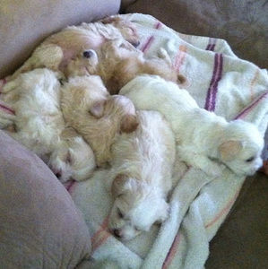 Meet your Posher, Jacinto